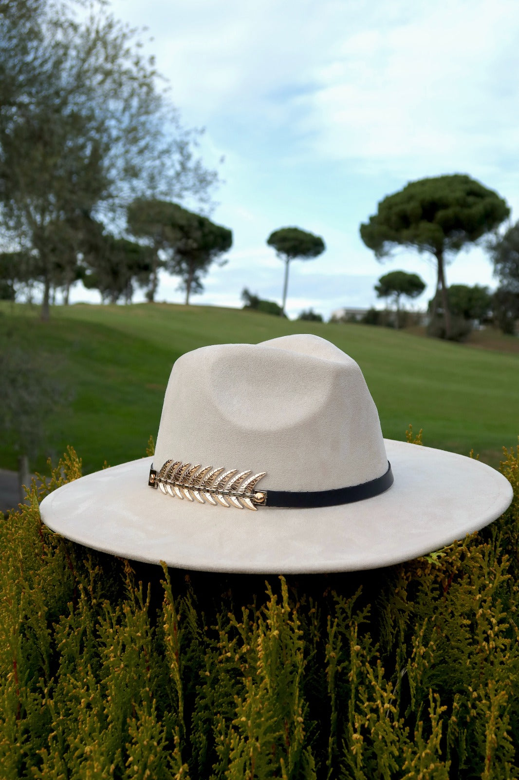 Provenza