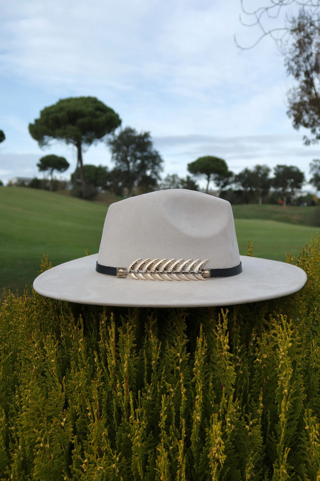 Provenza