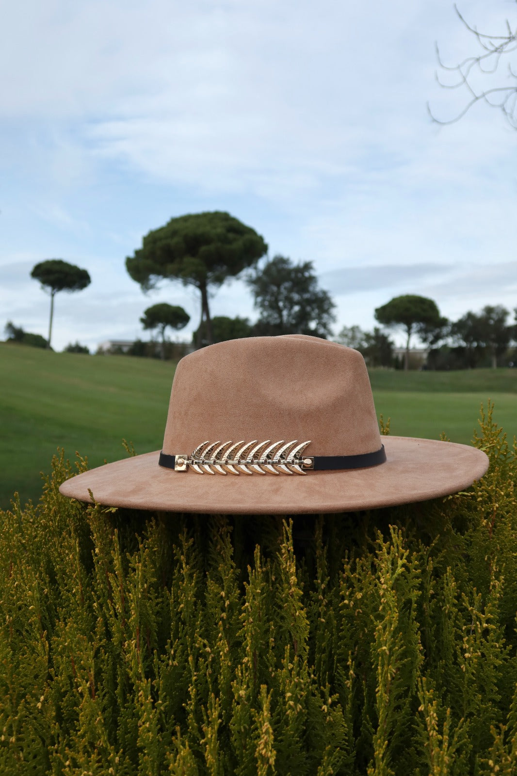 Provenza