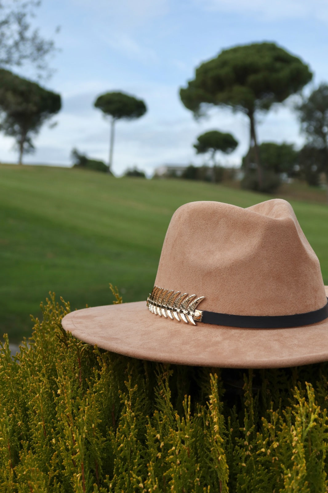 Provenza